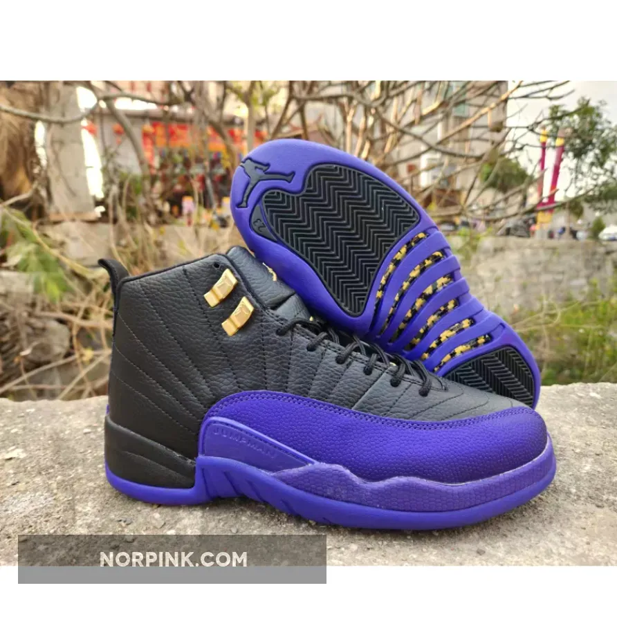 Air Jordan Purple Air Jordan 12 Field Purple CT8013-057