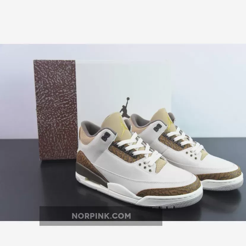 Air Jordan 3 'Palomino' CT8532-102 Discount
