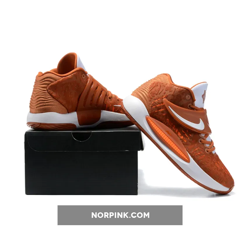 Nike KD 14 Brown White / brown and white nike