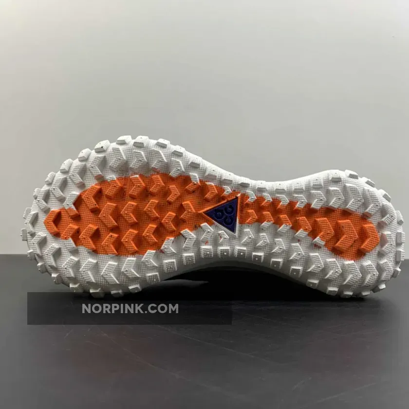 Nike ACG Mountain Fly Gore-Tex Metallic Silver Nike ACG Mountain Fly Gore-Tex Metallic Silver